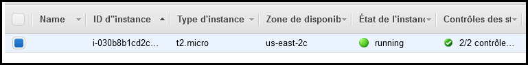 Instance en cours d'exécution Instance en cours d'exécution